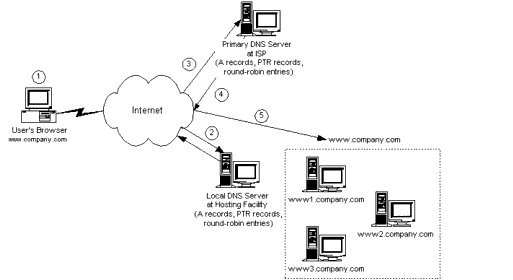 Primary and local DNS servers resolving name-to-IP address mapping